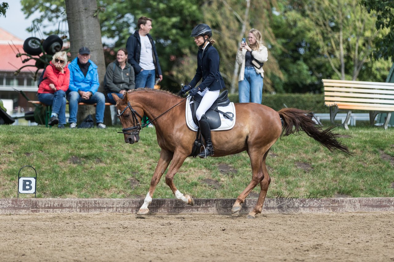 Bild 364 - Pony Akademie Turnier